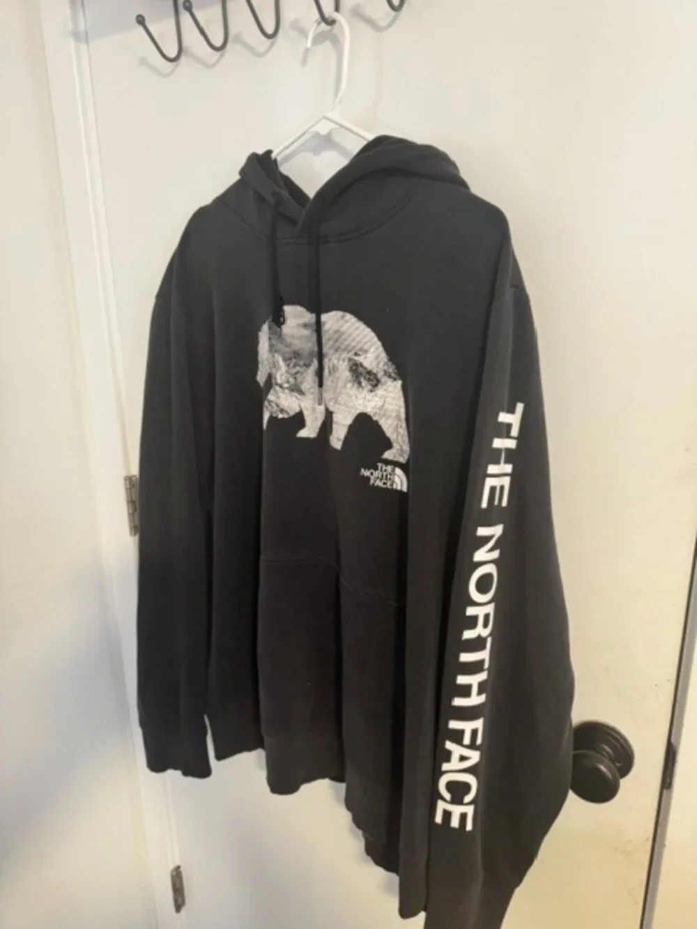 The North Face north face